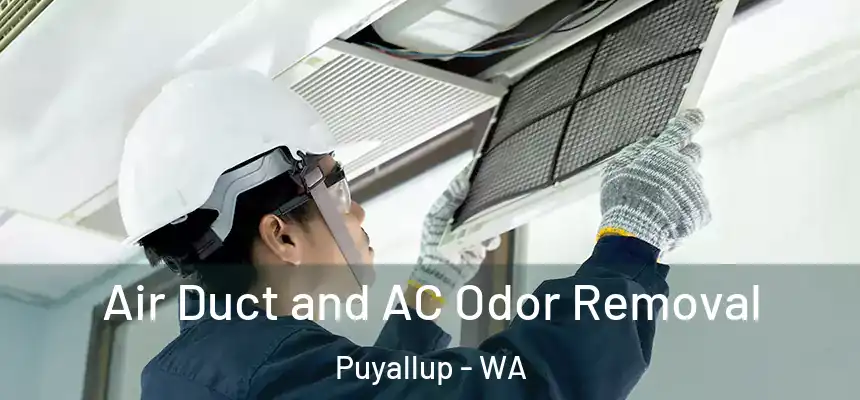  Air Duct and AC Odor Removal Puyallup - WA