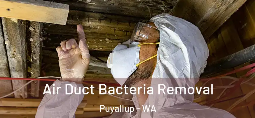 Air Duct Bacteria Removal Puyallup - WA
