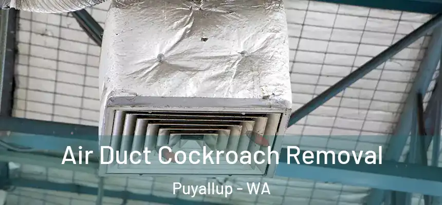 Air Duct Cockroach Removal Puyallup - WA