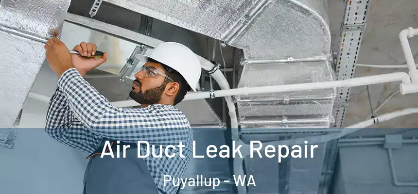 Air Duct Leak Repair Puyallup - WA