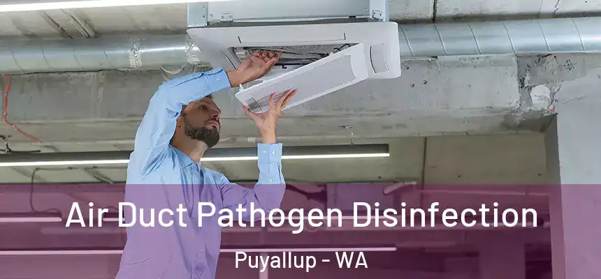 Air Duct Pathogen Disinfection Puyallup - WA