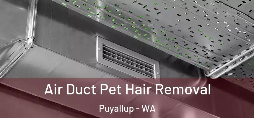  Air Duct Pet Hair Removal Puyallup - WA