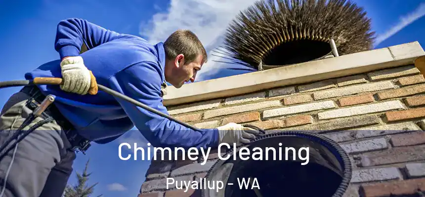  Chimney Cleaning Puyallup - WA