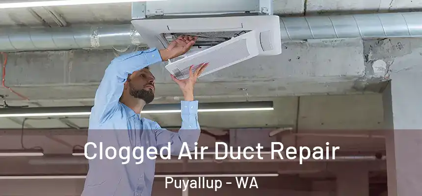  Clogged Air Duct Repair Puyallup - WA