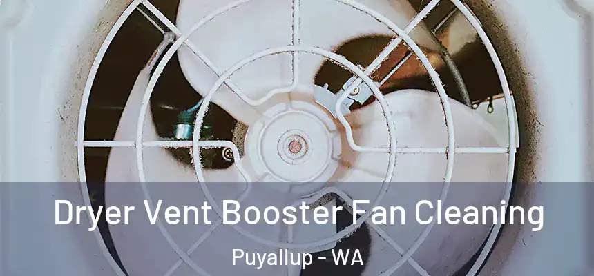  Dryer Vent Booster Fan Cleaning Puyallup - WA