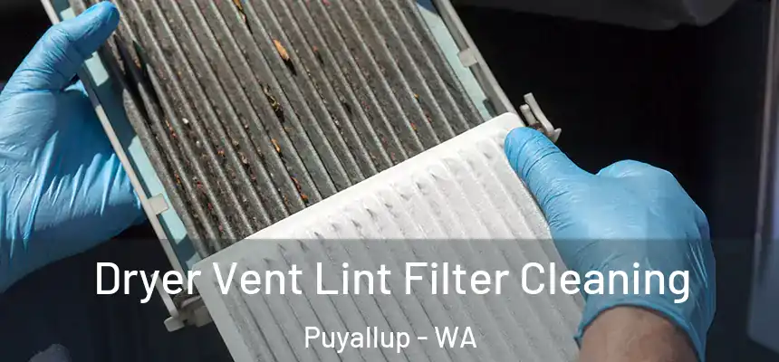  Dryer Vent Lint Filter Cleaning Puyallup - WA