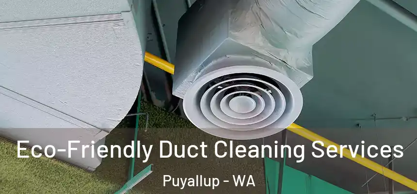 Eco-Friendly Duct Cleaning Services Puyallup - WA