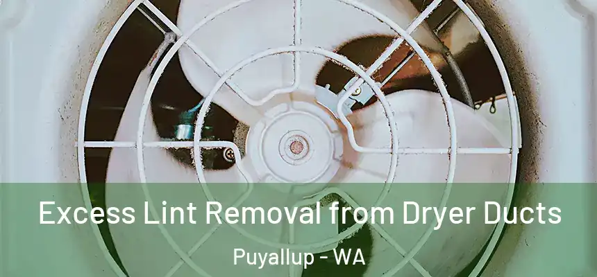  Excess Lint Removal from Dryer Ducts Puyallup - WA