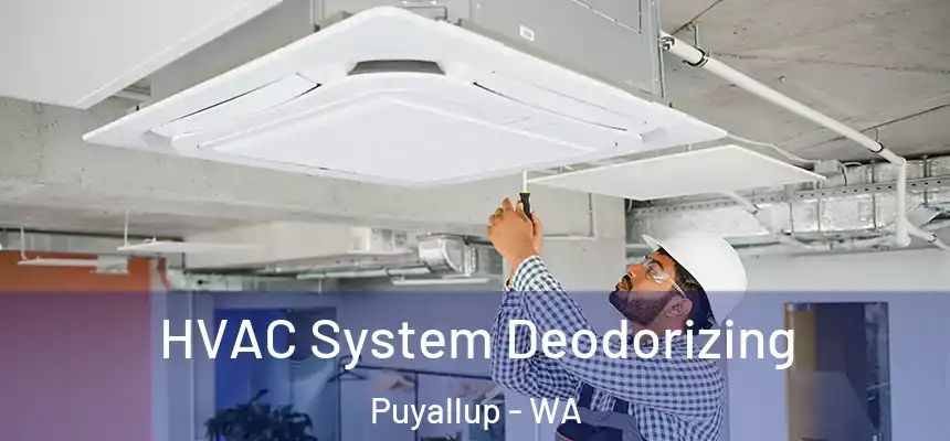  HVAC System Deodorizing Puyallup - WA