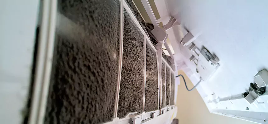 Preventive Air Duct Bacteria Removal in Puyallup