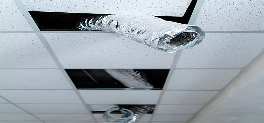 Our Air Duct Pet Hair Removal Services in Puyallup, WA