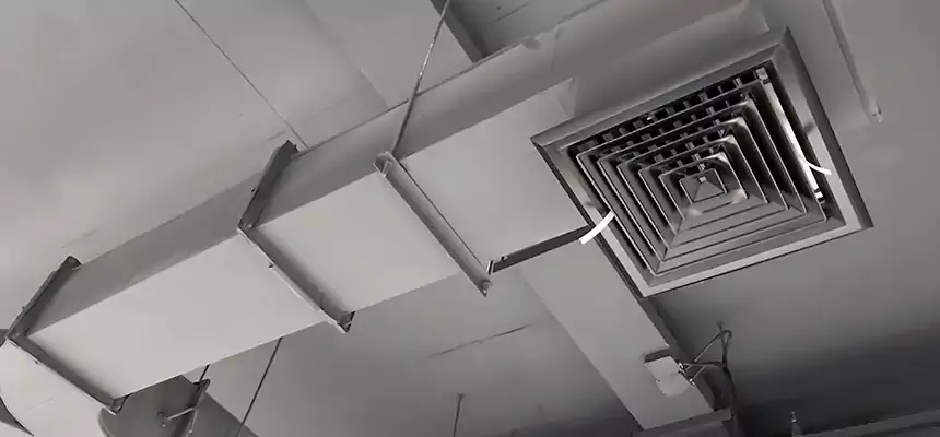 Restorative Allergy Relief Vent Cleaning – Coil, Blower & Housing Detail in Puyallup