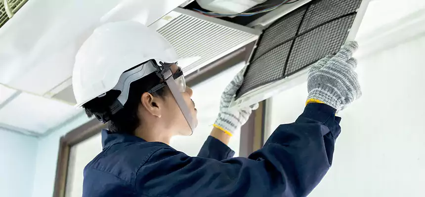 Our Mold & Mildew Removal from Air Ducts Services in Puyallup, WA