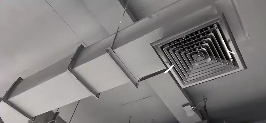 Our Pest Removal From Ducts Services in Puyallup, WA