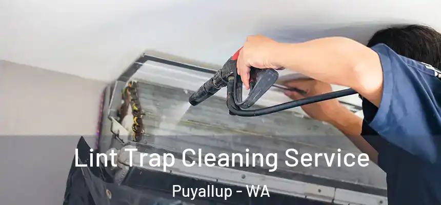 Lint Trap Cleaning Service Puyallup - WA