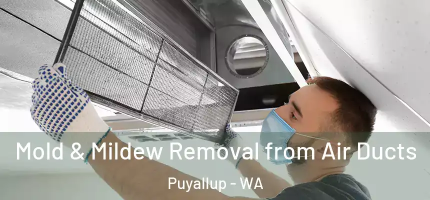  Mold & Mildew Removal from Air Ducts Puyallup - WA