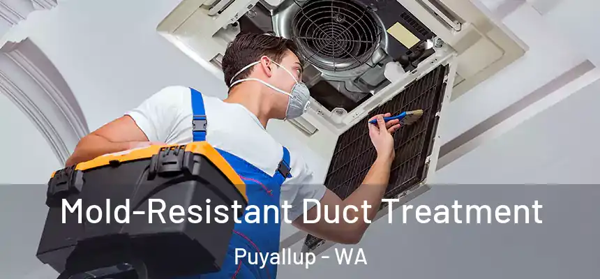  Mold-Resistant Duct Treatment Puyallup - WA