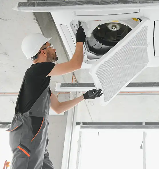 About Air Duct Rodent Removal in Puyallup, WA