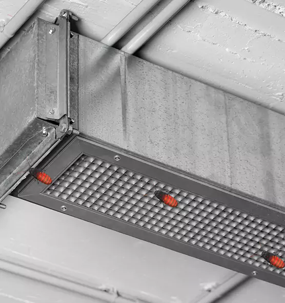 Affordable Insect Removal from Air Ducts in Puyallup, WA