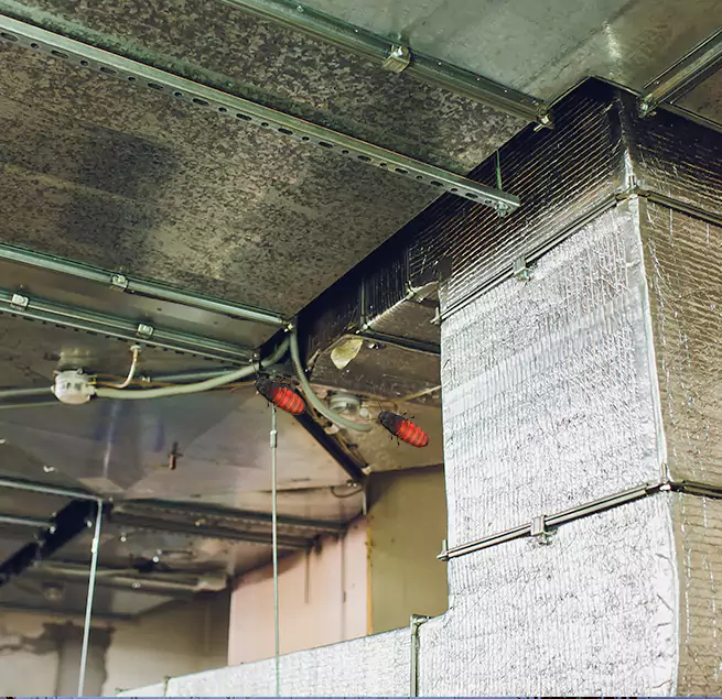 Why Homeowners & Businesses Trust Us in Puyallup, WA?