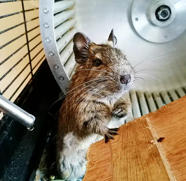 Why Homeowners & Businesses Trust Us Puyallup, WA?