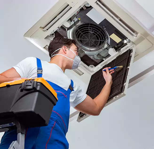 Why Homeowners & Businesses Trust Us in Puyallup, WA