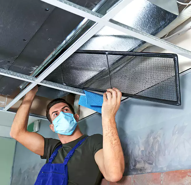 Why Homeowners Businesses Trust Us in Puyallup, WA