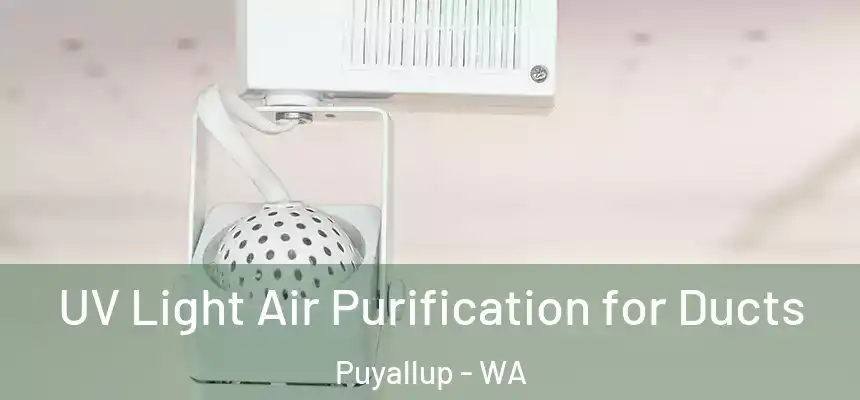  UV Light Air Purification for Ducts Puyallup - WA